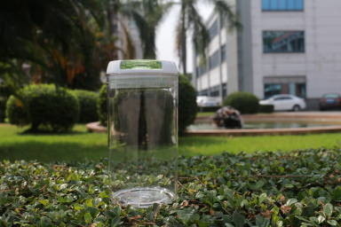 자유로운 로크 가능 Lid BPA와 FDA의 승인을 받재활용할 수 있는 플라스틱 컨테이너